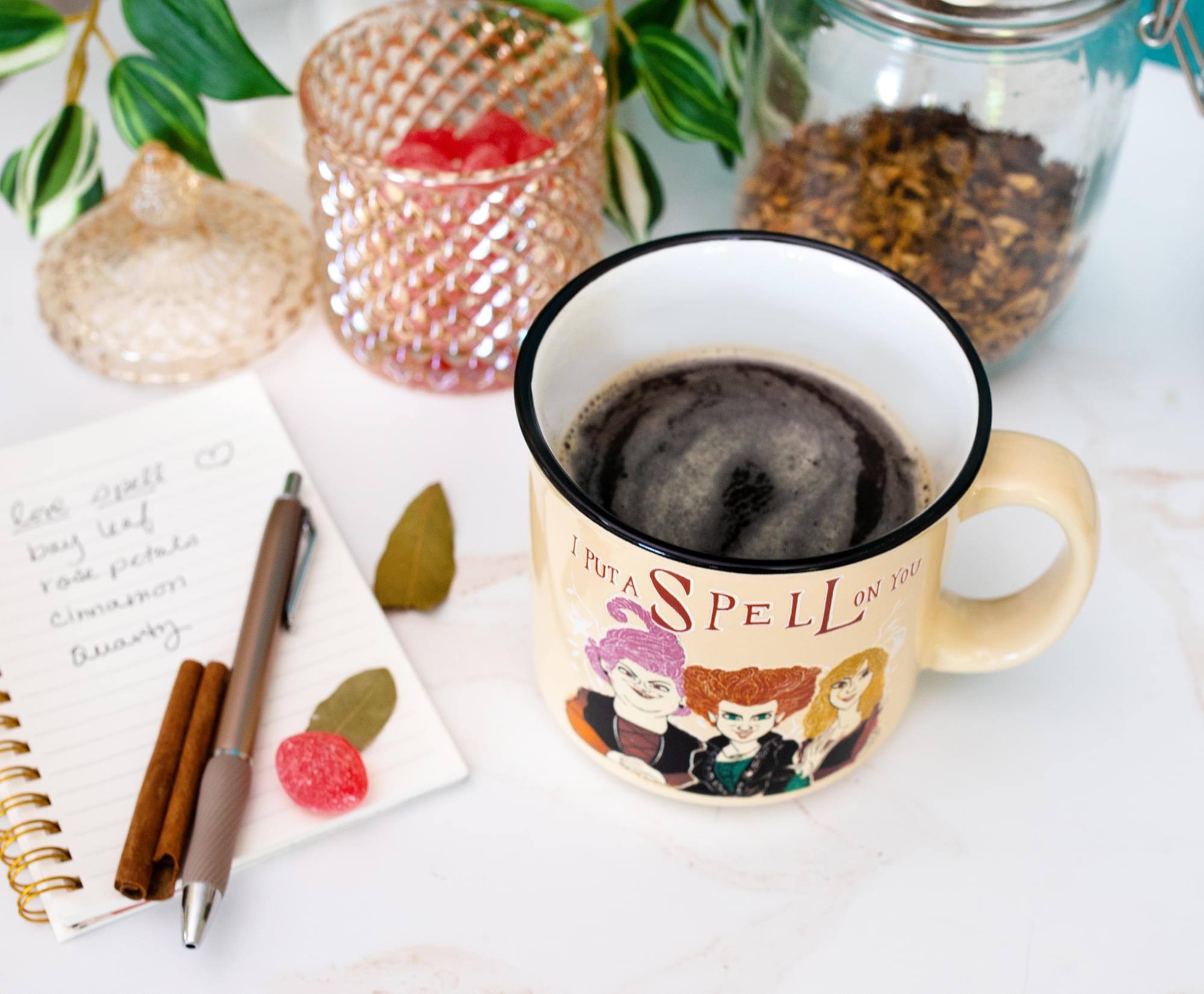 Sure, here is the corrected and grouped text:

**On the Mug:**
- "I PUT A SPELL ON YOU"

**On the Notebook:**
- "Love Spell"
- "Bay Leaf"
- "Rose Petals"
- "Cinnamon"
- "Quartz"

**On the Image:**
- "lev bay petsla Tod Cimnamnon Quavty 1 PUT A You S SPELLON LoN ON PE L" (This appears to be a jumbled version of the text on the mug and notebook.)