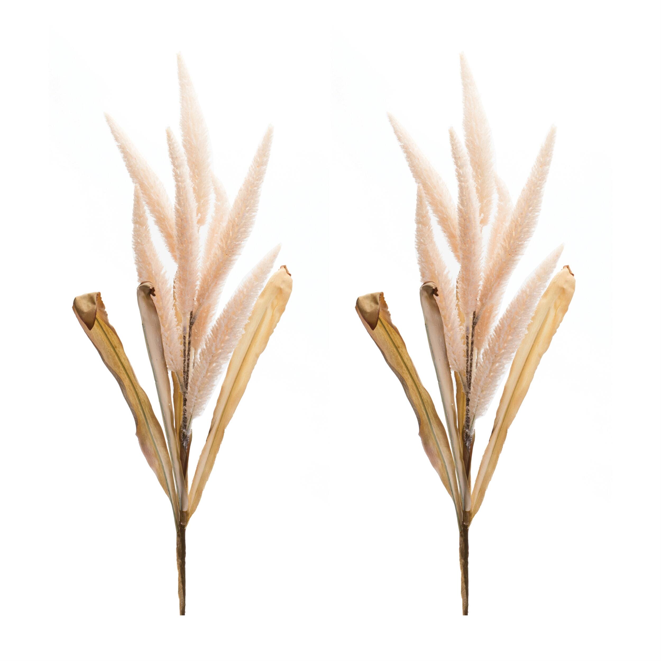 Left. BreeBe - Foxtail Plume Stem (Set of 2) - Pink, Beige.