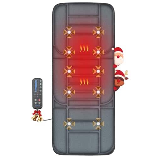 ESBANY - Massager Pad, Back Massager with Heat and 10 Vibrating Motors for Pain Relief, Body Massage for Back, Lumbar,Leg, Gifts