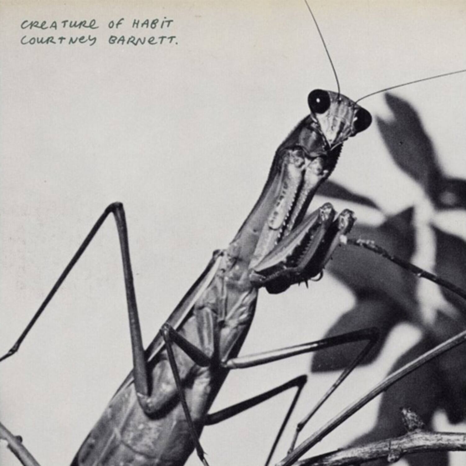 Creature of Habit  
Courtney Barnett.