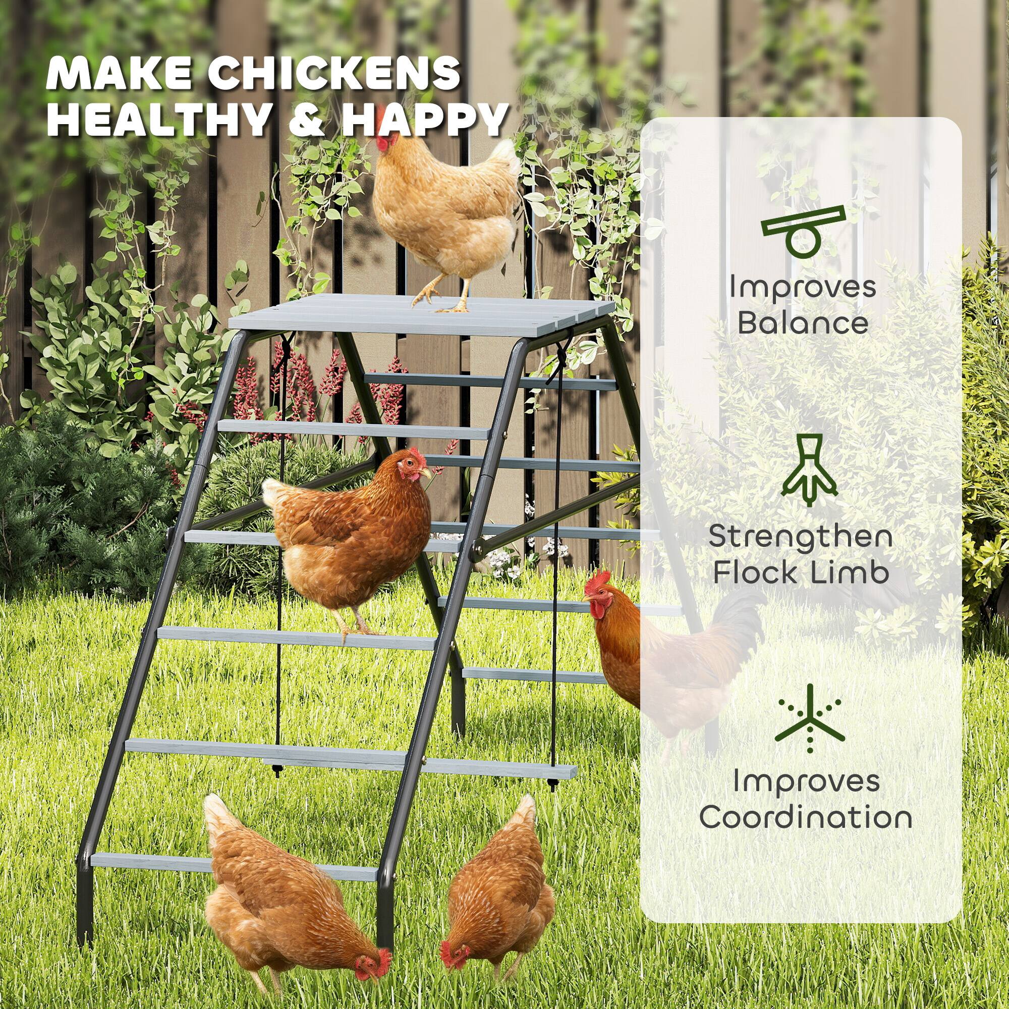 MAKE CHICKENS HEALTHY & HAPPY

- Improves Balance
- Strengthens Flock Limb
- Improves Coordination