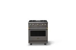 Viking - Pro 5 Series 4.0 Cu. Ft. Freestanding Sealed 4 Burner Gas Convection Range - Damascus Gray w. Brushed Brass Trim - Damascus Gray