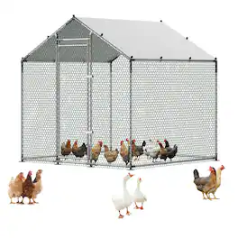 VEVOR - Large Metal Chicken Coop 6.6x6.6x6.6 ft Walk-in Chicken Run House, Spire Roof Hen House Enclosure with Cover - Silver