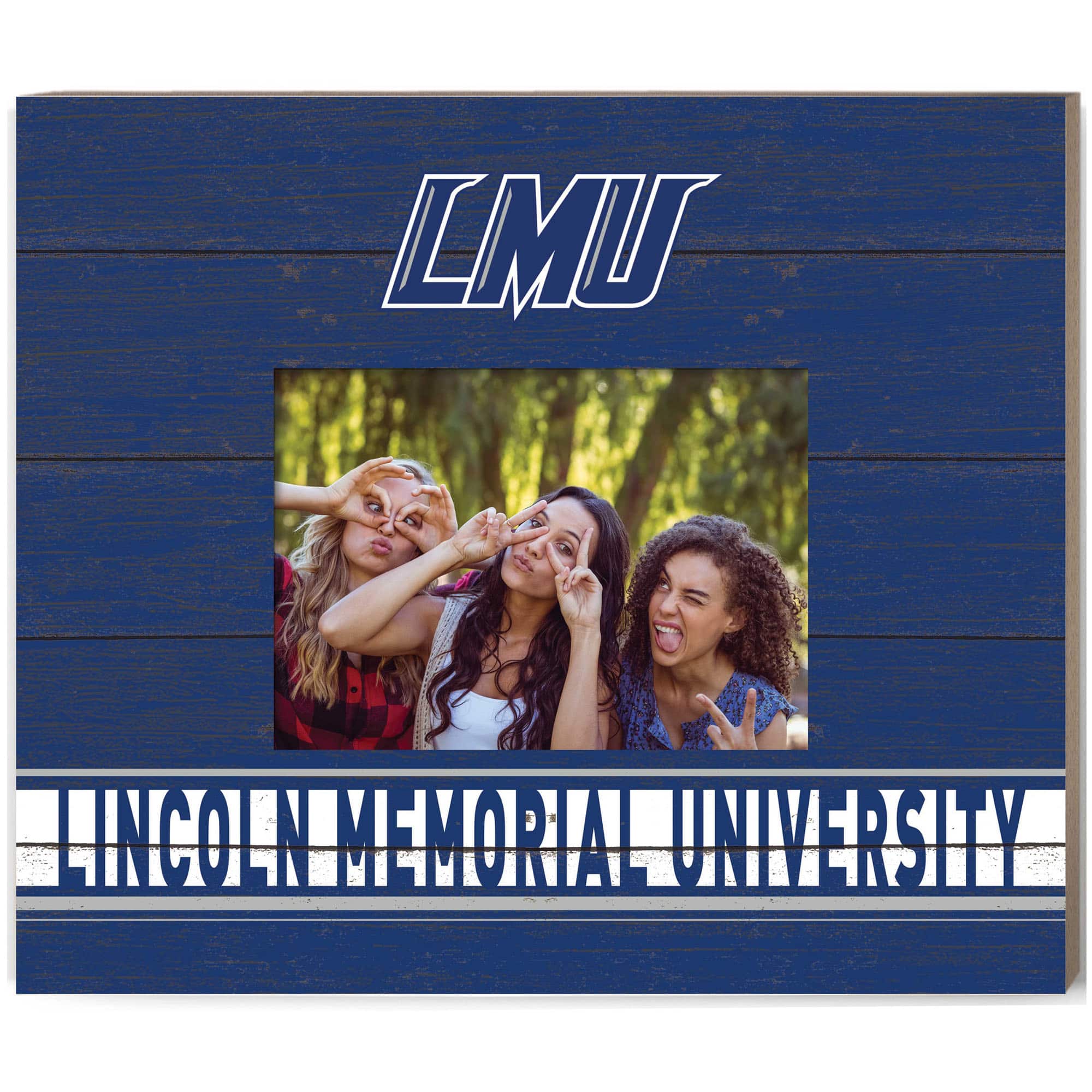 Jardine - Lincoln Memorial Railsplitters 11'' x 13'' Team Spirit Scholastic Picture Frame - Navy price history on PriceWatchPro