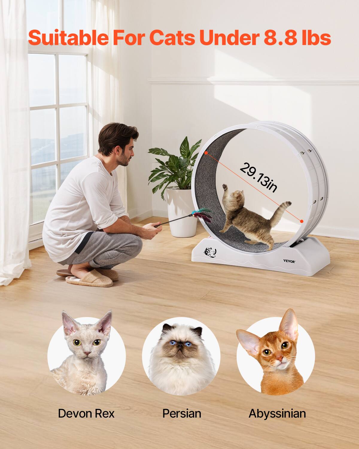 Suitable For Cats Under 8.8 lbs

29.13in

Devon Rex

Persian

Abyssinian