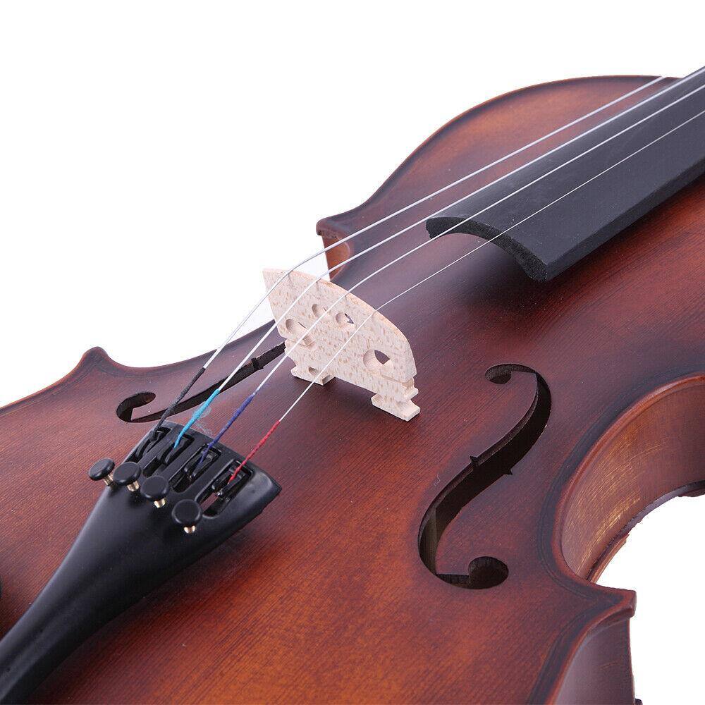 Back. Winado - 4/4 Classic Solid Wood adult Retro Acoustic Violin+Case+Bow+Rosin+Tuner for Gift.