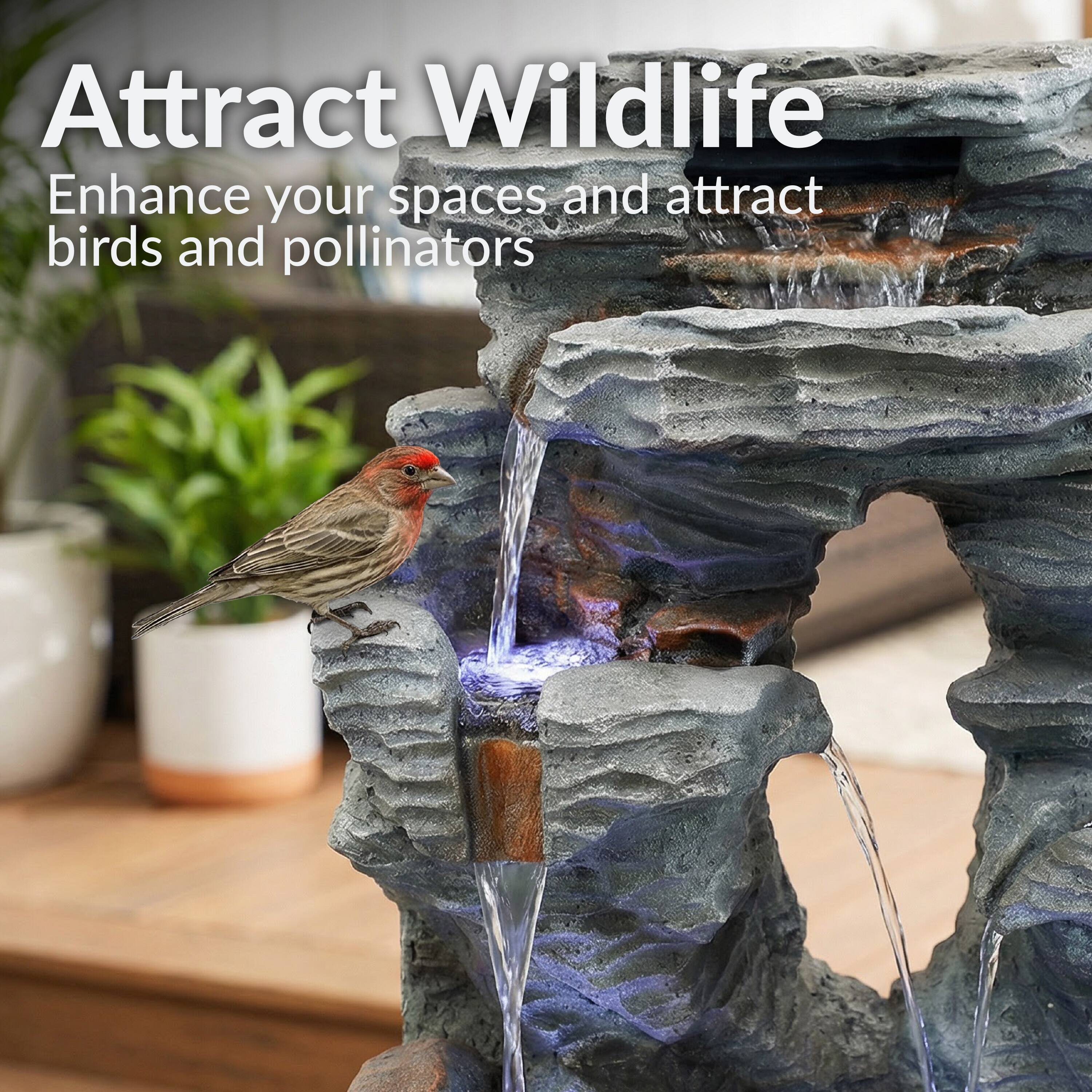 Attract Wildlife  
Enhance your spaces and attract birds and pollinators