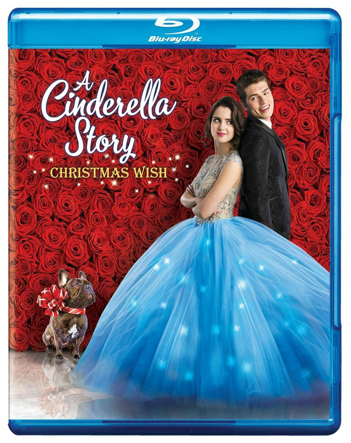 Front. Cinderella Story, A: Christmas Wish [Blu-ray].