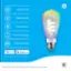 Millions of Colors Brightness Control Multi-bulb Control Control From Anywhere Set Scenes/Schedules works with Alexa with works with Google Home GE is trademark of General Electric Company. Used under trademark license.