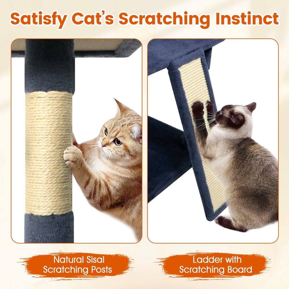 Satisfy Cat's Scratching Instinct  
Natural Sisal Scratching Posts  
Ladder with Scratching Board