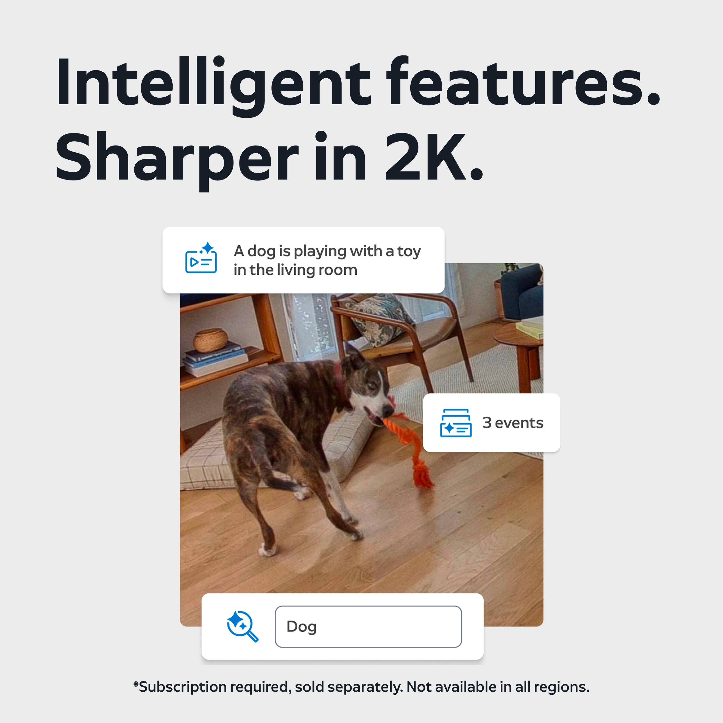Intelligent features. Sharper in 2K.

A dog is playing with a toy in the living room

3 events

Dog

*Subscription required, sold separately. Not available in all regions.