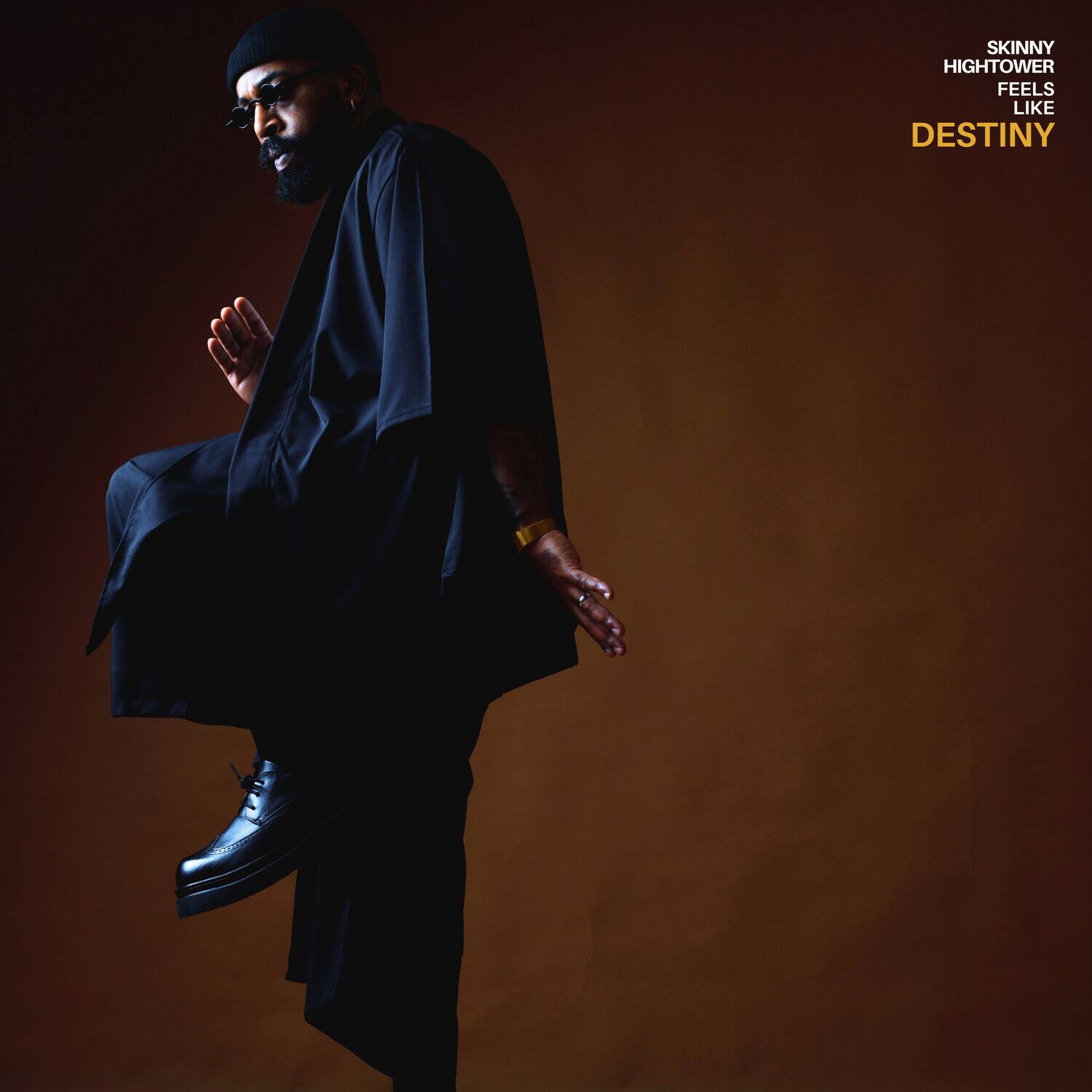 Skinny Hightower - Feels Like Destiny   - COMPACT DISCS [CD]