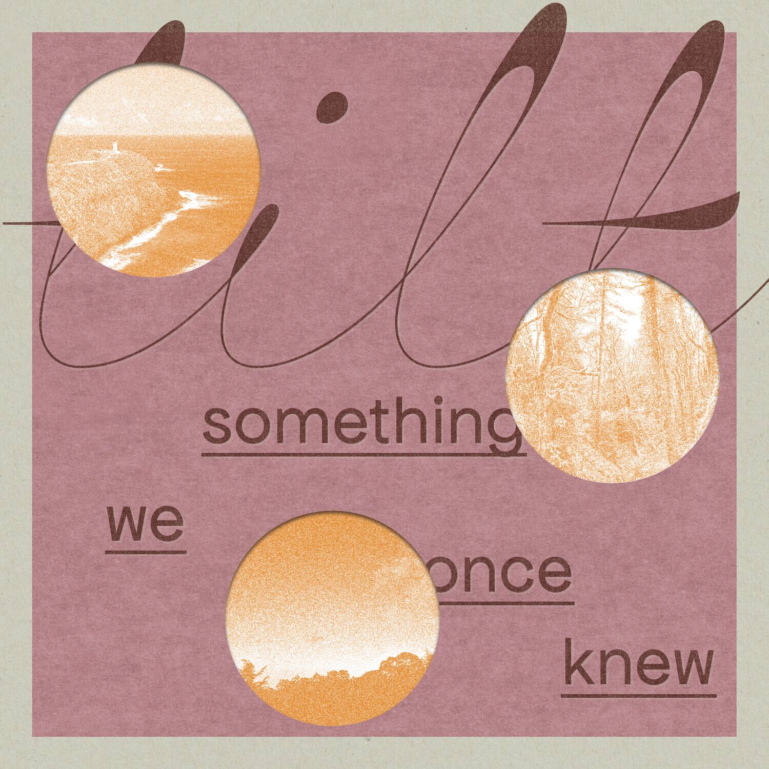 We'll something we once knew