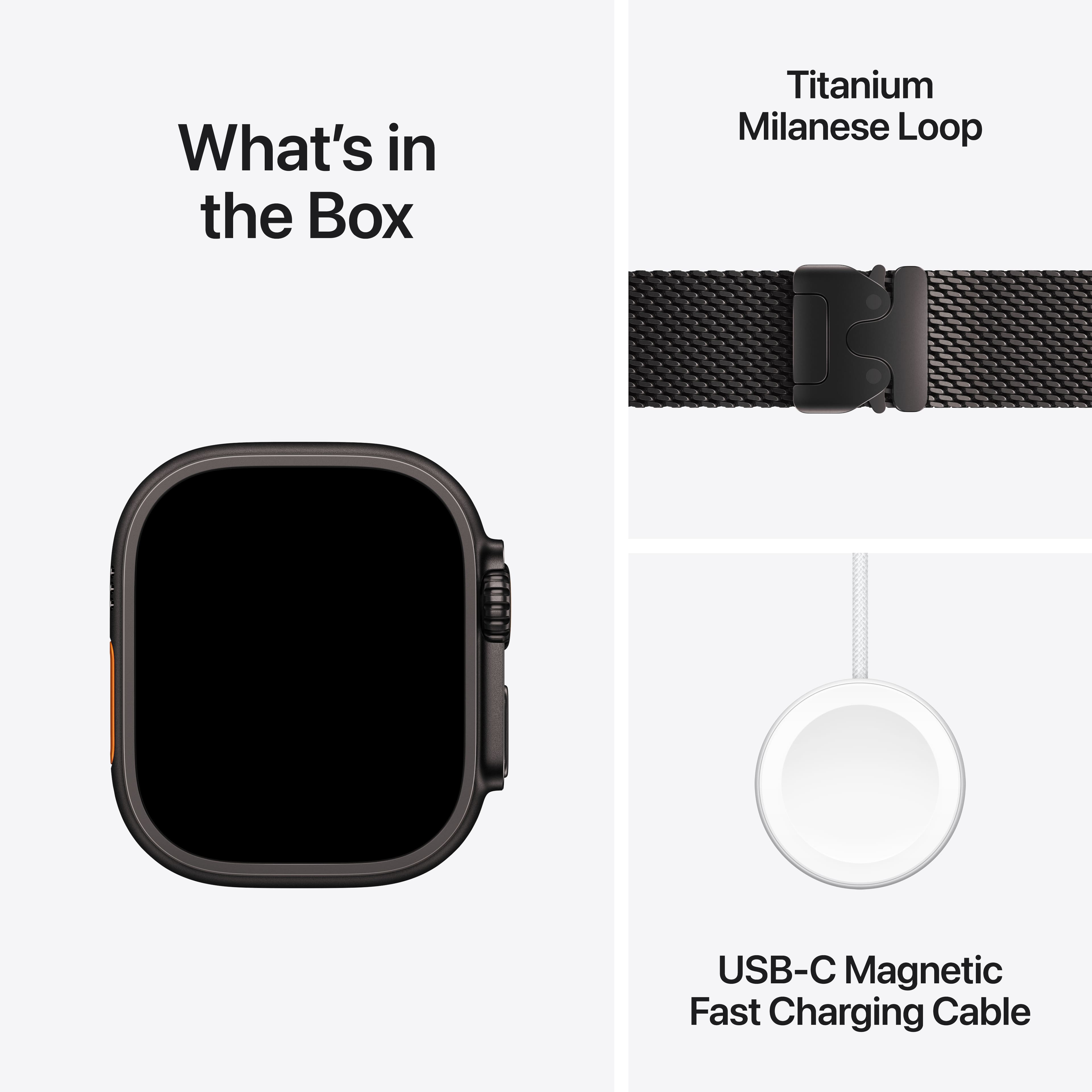 What's in the Box: Titanium Milanese Loop USB-C Magnetic Fast Charging Cable