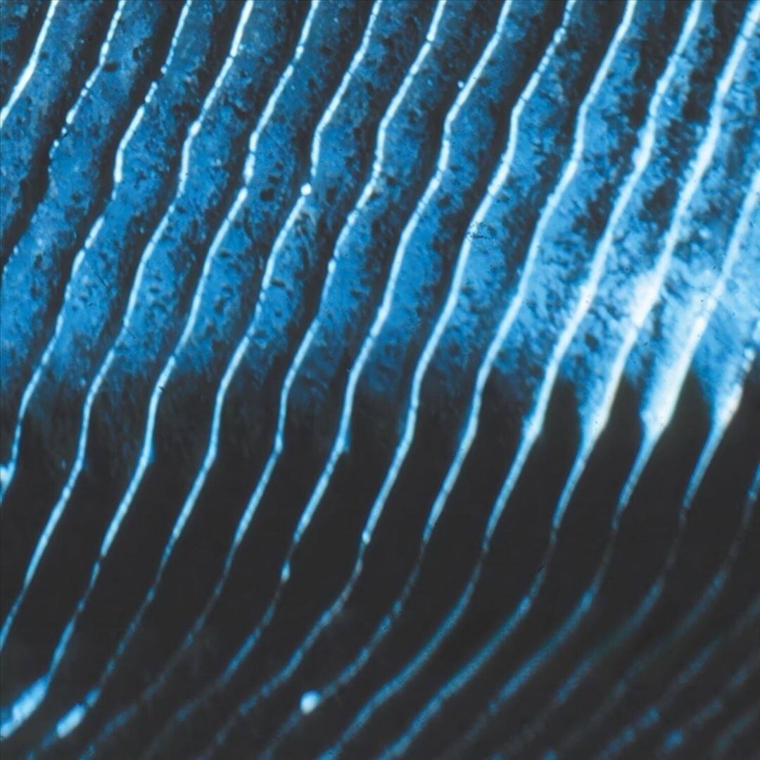 Front. Gravity [LP].