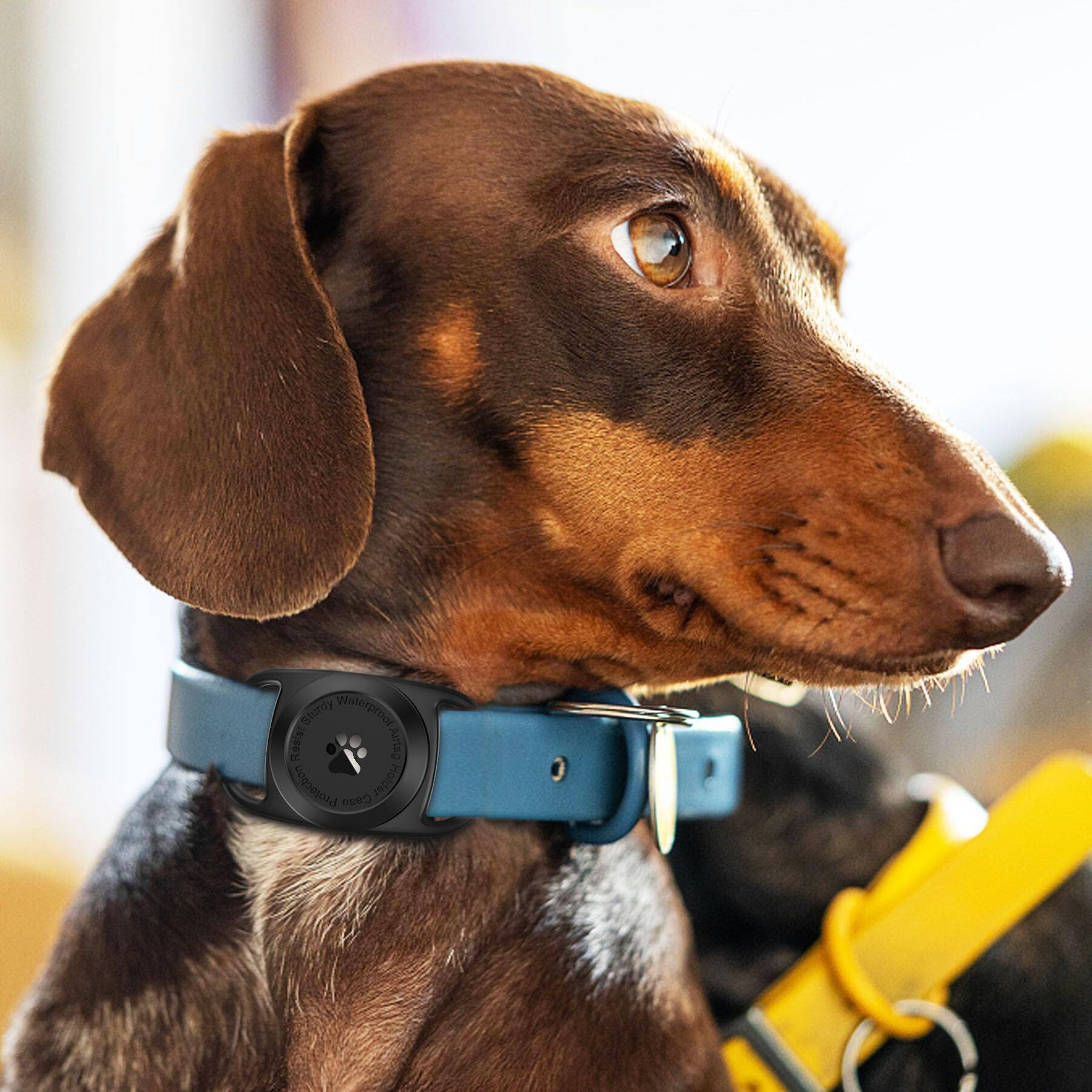 a1188 Sturdy Waterproof 1850 Sun Lm Holder can