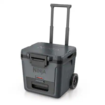 NINJA - 30