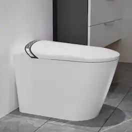 Loheer - Elongated Smart Toilet With Built In Bidet, Tankless Design, Porcelain - White