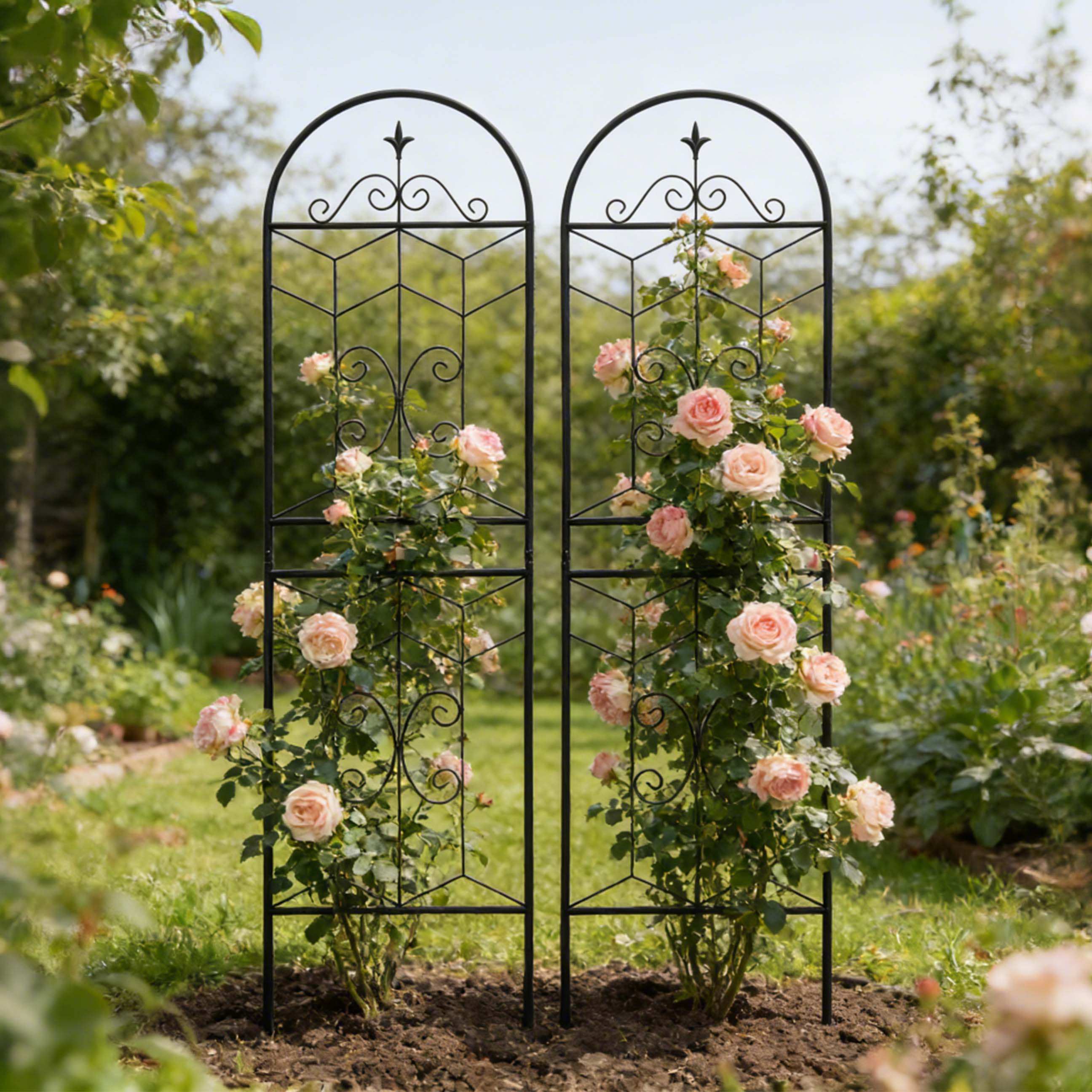 Alt View 2. Loheer - Rustproof Metal Garden Trellis 2 Pack, 5.9 ft x 1.6 ft Climbing Plant Support.