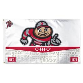 WinCraft - Ohio State Buckeyes 3' x 5' Single-Sided Deluxe Mascot Flag - Multicolor
