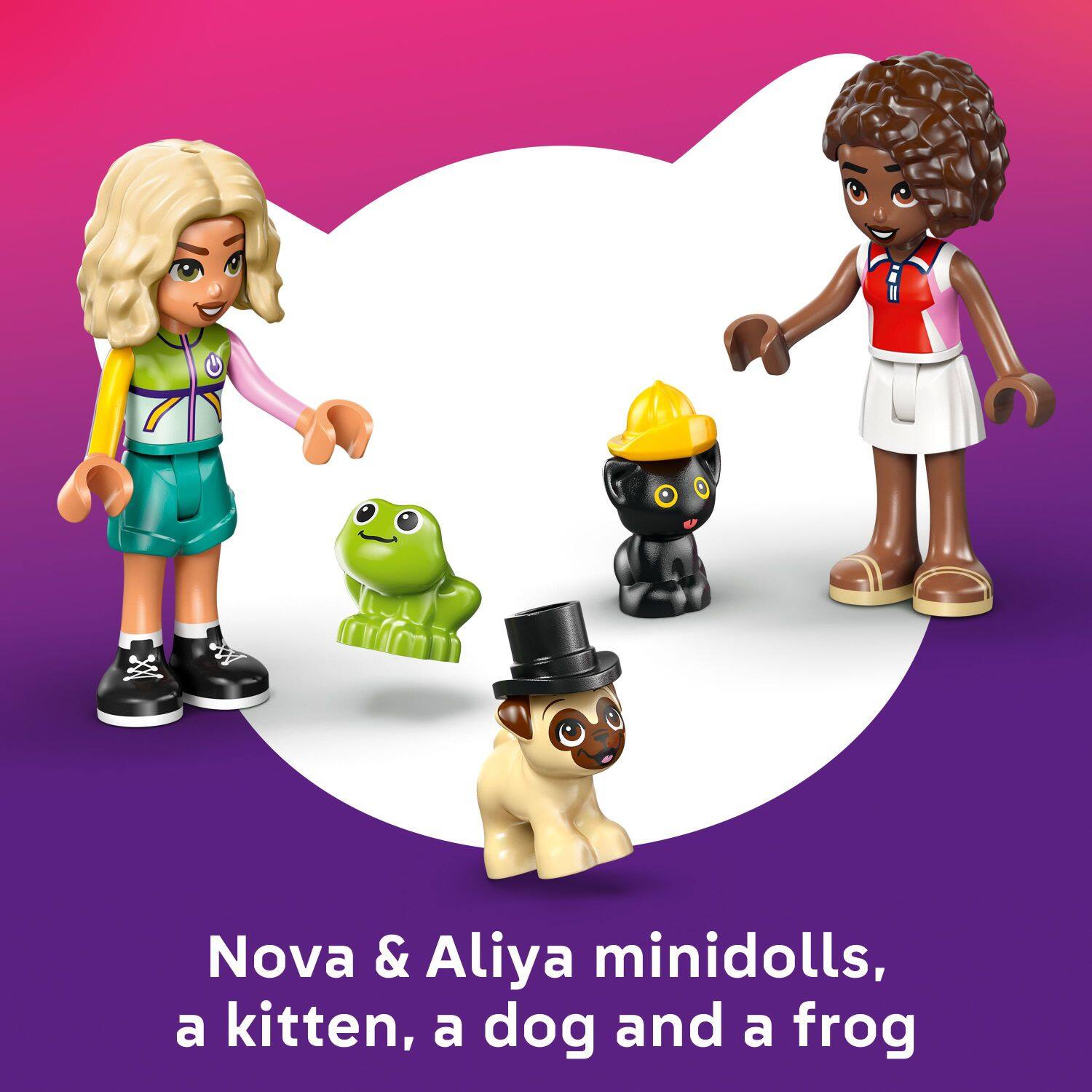 Nova & Aliya minidolls, a kitten, a dog and a frog