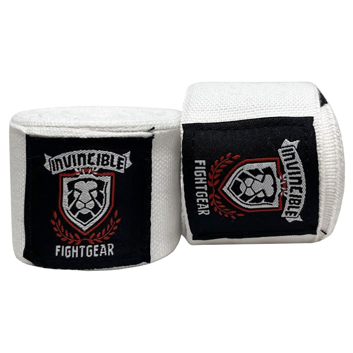 INVINCIBLE FIGHTGEAR