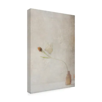 Front. Trademark Fine Art - Delphine Devos Ephemeral Meeting Canvas Art - 30 x 47 Inches - 30x47 - Multicolor.