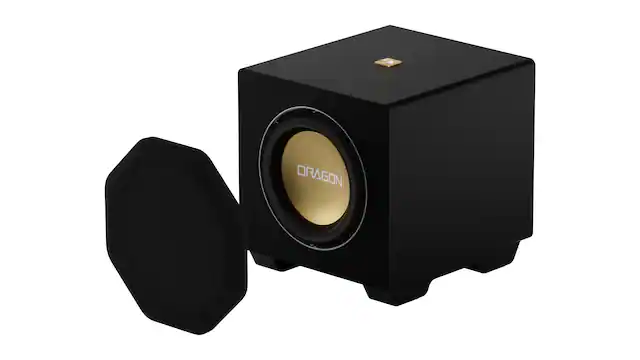 Front. Nakamichi - Modular 12" Subwoofer Expansion (ONLY for use with DRAGON Surround Sound System).