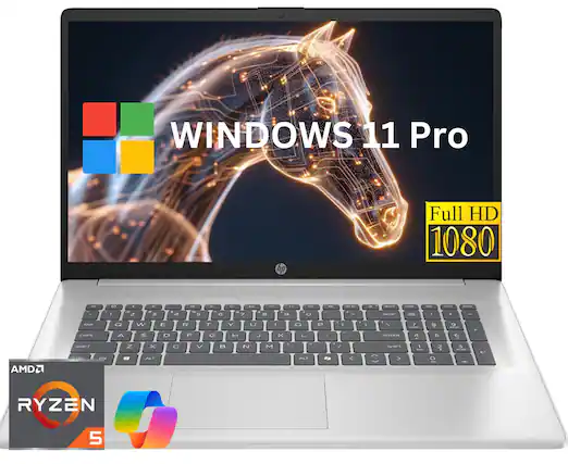 WINDOWS 11 Pro
hp
Full HD 1080
AMD RYZEN 5