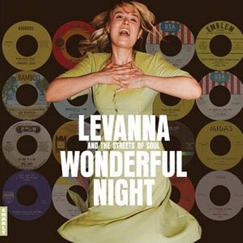 Wonderful Night Curated by Lev [LP] [VINYL] price history on PriceWatchPro