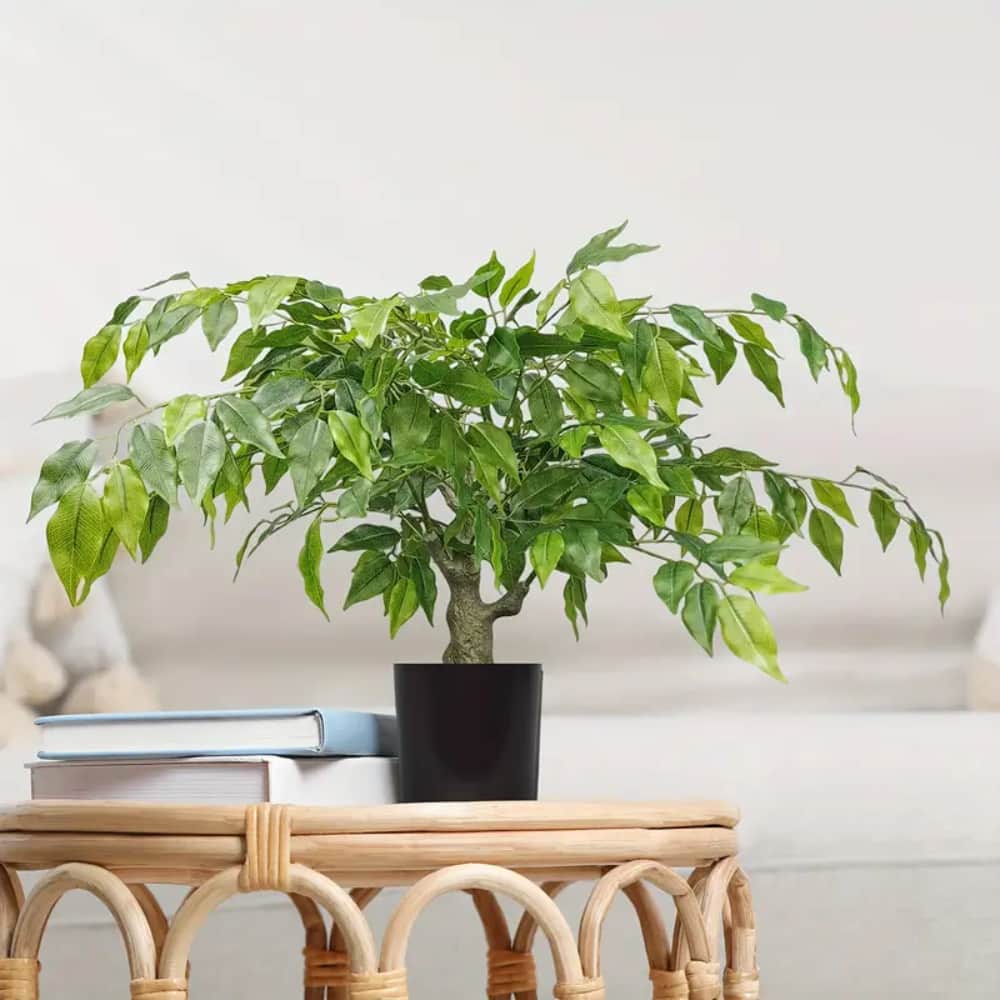 Stylel Star - PLASTIC GREENERY ARTIFICIAL FIDDLE LEAF TREE - Green