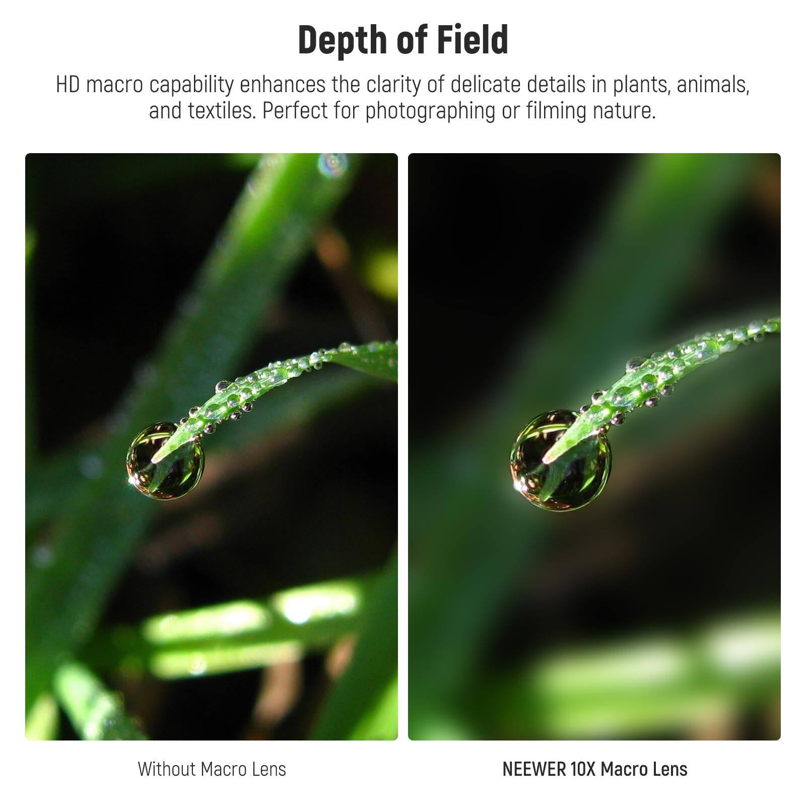 Depth of Field

HD macro capability enhances the clarity of delicate details in plants, animals, and textiles. Perfect for photographing or filming nature.

Without Macro Lens

NEEWER 10X Macro Lens