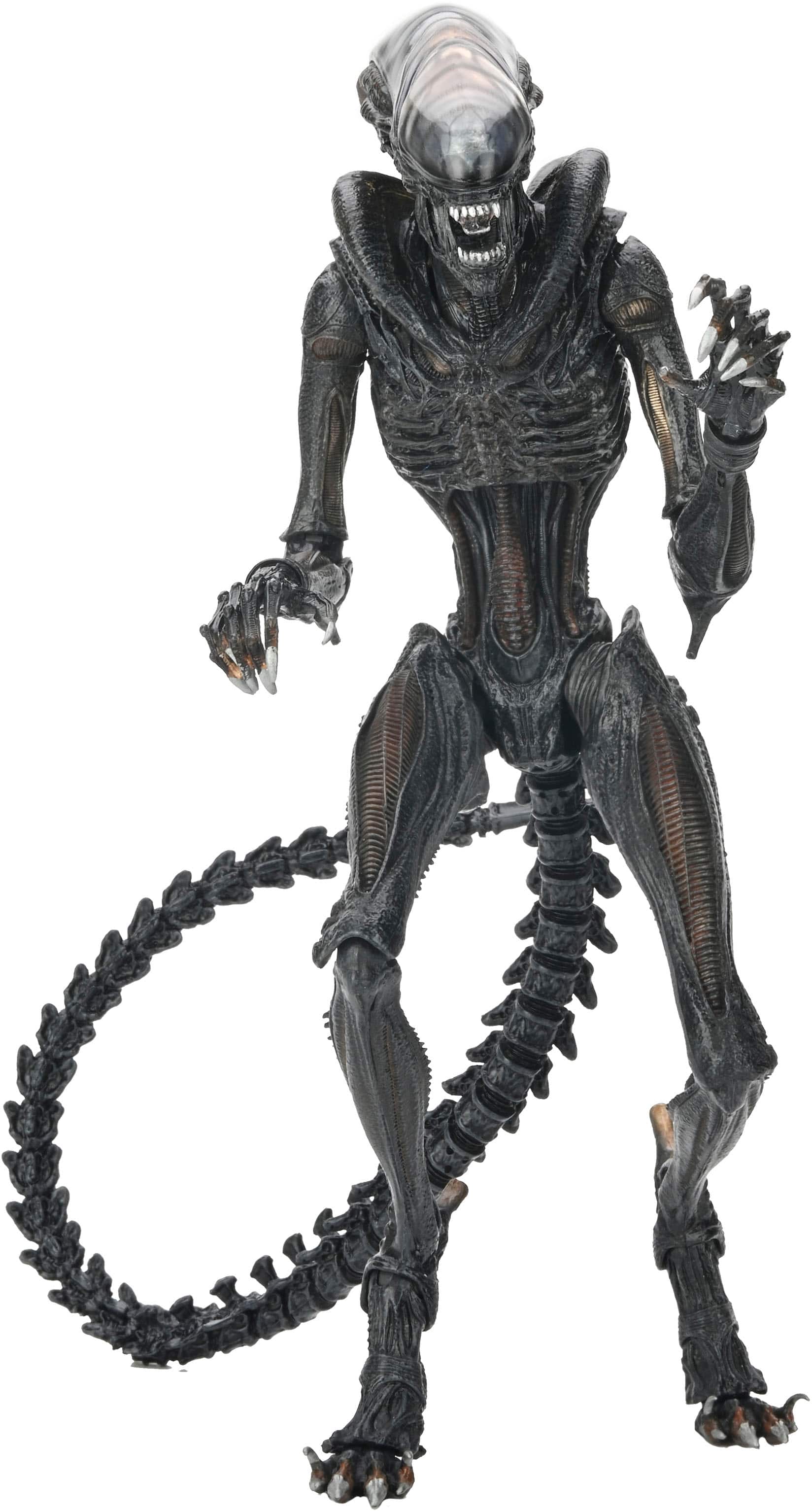 Angle. NECA - Alien : Romulus 7" Scale Action Figure-Ultimate Scorched Xenomorph.