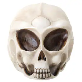 Pacific Trading - Small White Alien Skull Mini Figurine Extraterrestrial Outer Space Miniature 3 inch