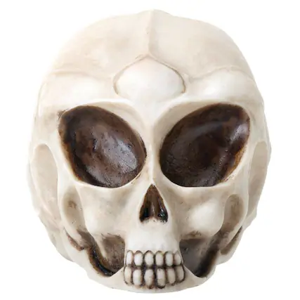 Front. Pacific Trading - Small White Alien Skull Mini Figurine Extraterrestrial Outer Space Miniature 3 inch.