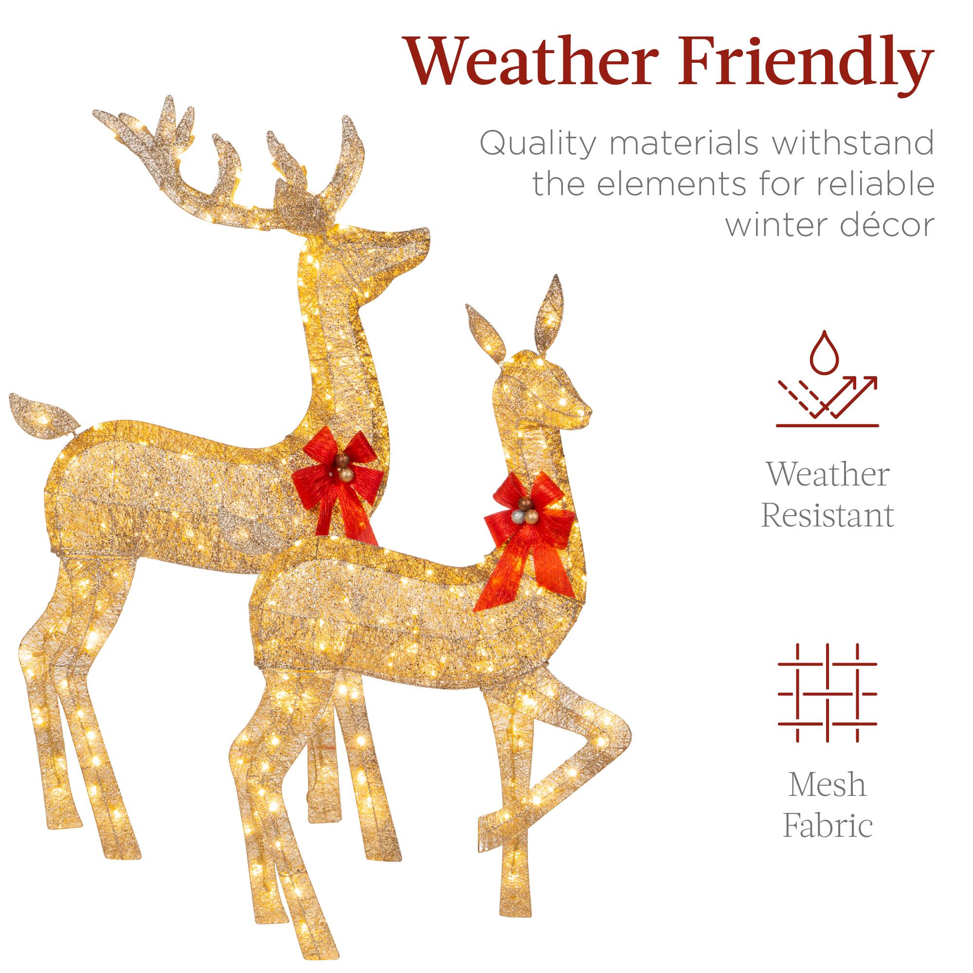 Weather Friendly

Quality materials withstand the elements for reliable winter décor

Weather Resistant

Mesh Fabric