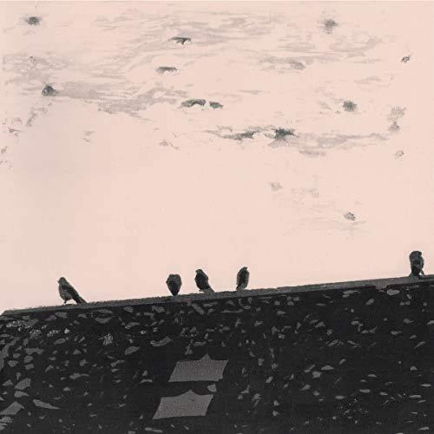 Stuart Staples a. - Arrhythmia   - VINYL LP