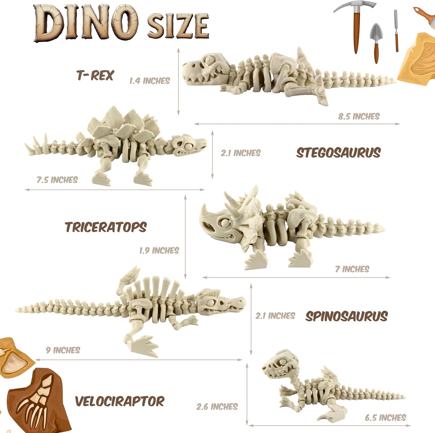 DINO SIZE

T-REX
1.4 INCHES
8.5 INCHES
2.1 INCHES

STEGOSAURUS
7.5 INCHES

TRICERATOPS
1.9 INCHES
7 INCHES
2.1 INCHES

SPINOSAURUS
9 INCHES

VELOCIRAPTOR
2.6 INCHES
6.5 INCHES