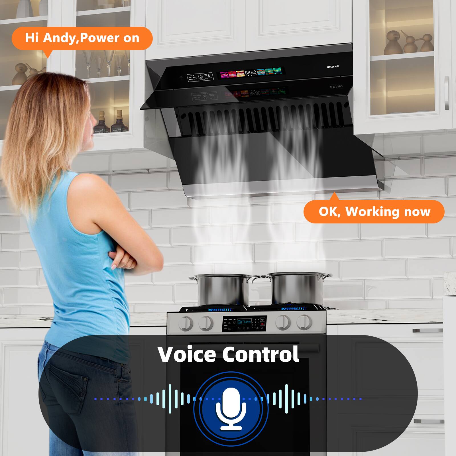 Hi Andy, Power on

88:88 DE
BRAND
8868
BRANO
OK, Working now

UUUUUUUU
MUNITY

Voice Control