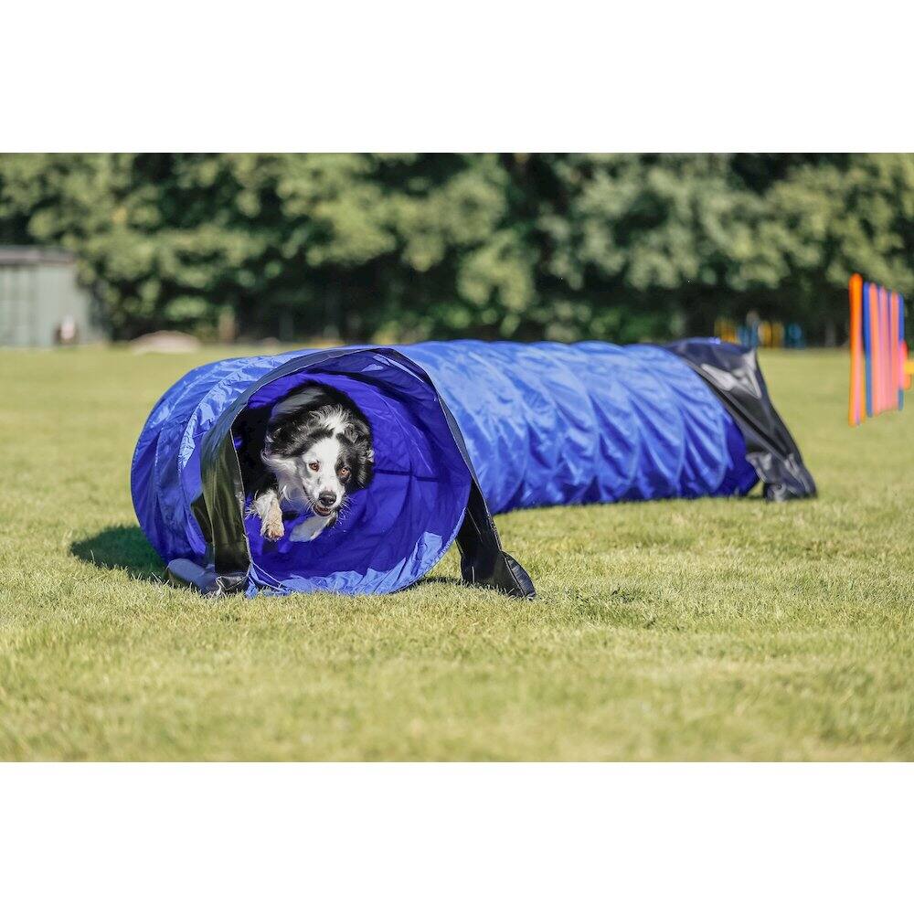 Angle. TRIXIE - Dog Agility Tunnel 16.5', Portable Dog Training Tunnel, Obedience - Blue.