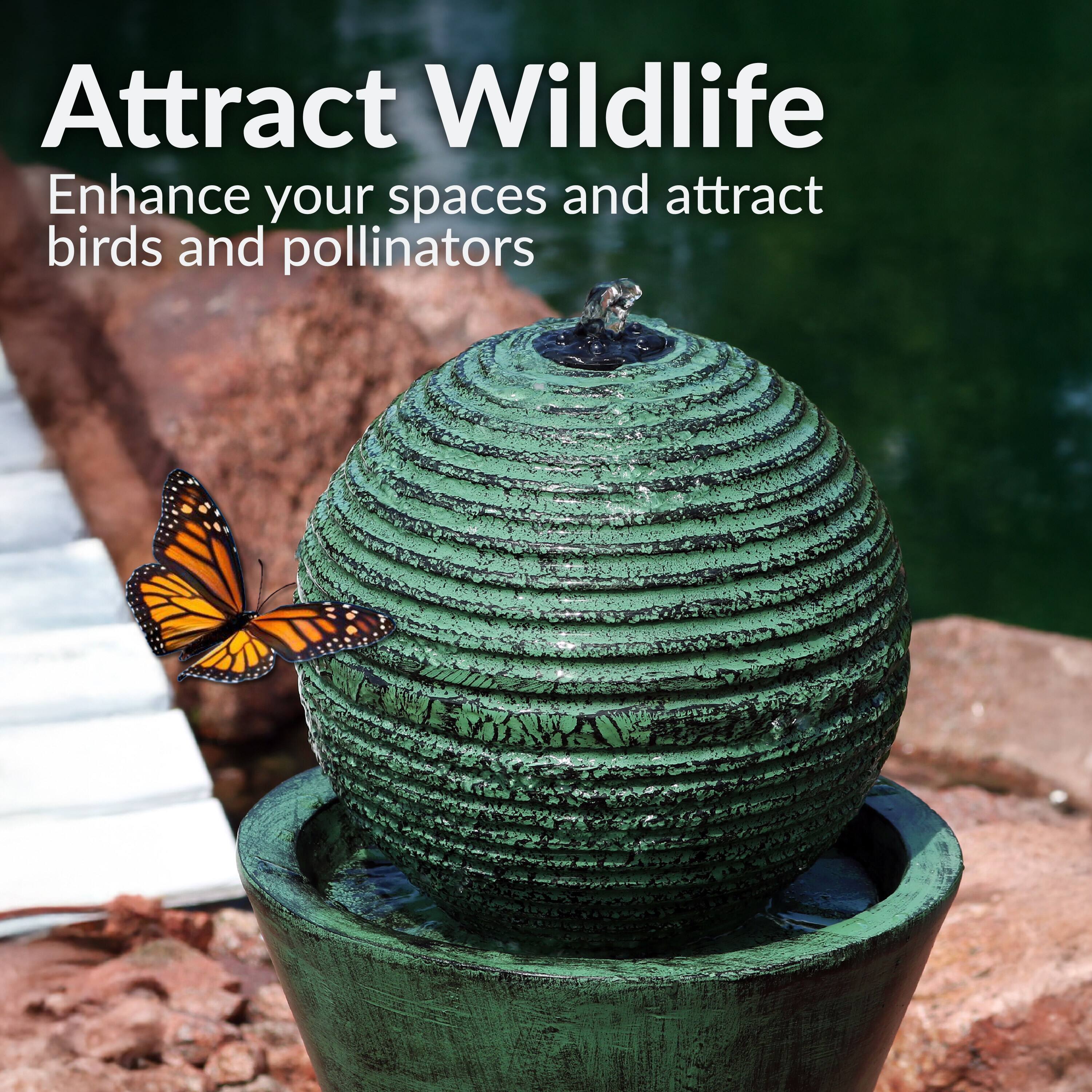 Attract Wildlife  
Enhance your spaces and attract birds and pollinators