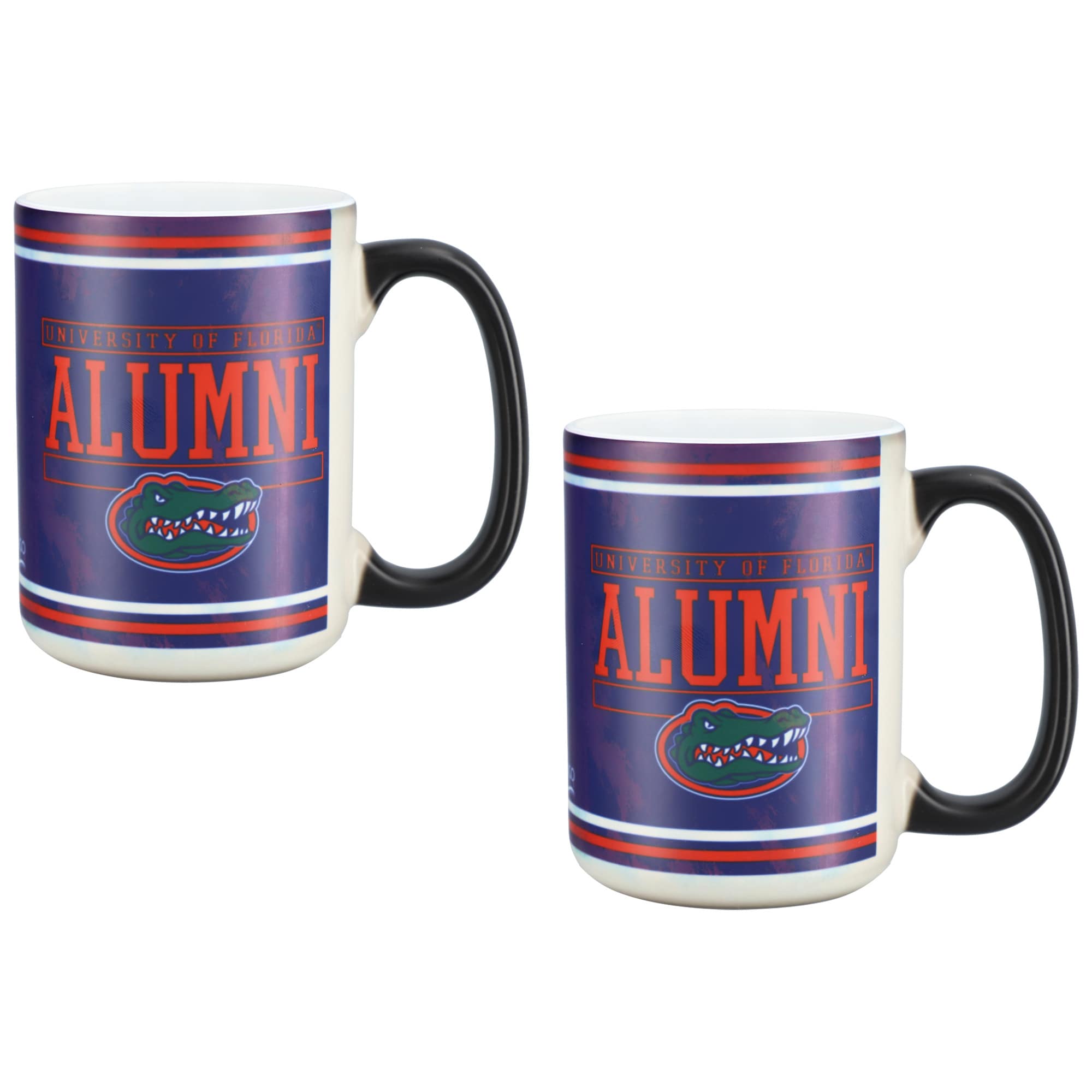 Indigo Falls - Florida Gators Two-Pack 15oz. Reveal Mug Set - Multicolor price history on PriceWatchPro