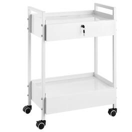 VEVOR - Lab Cart, 2 Tiers Stainless Steel Utility Cart, Medical Cart with 2 Drawers, Rolling Lab Cart with Swivel Casters - White