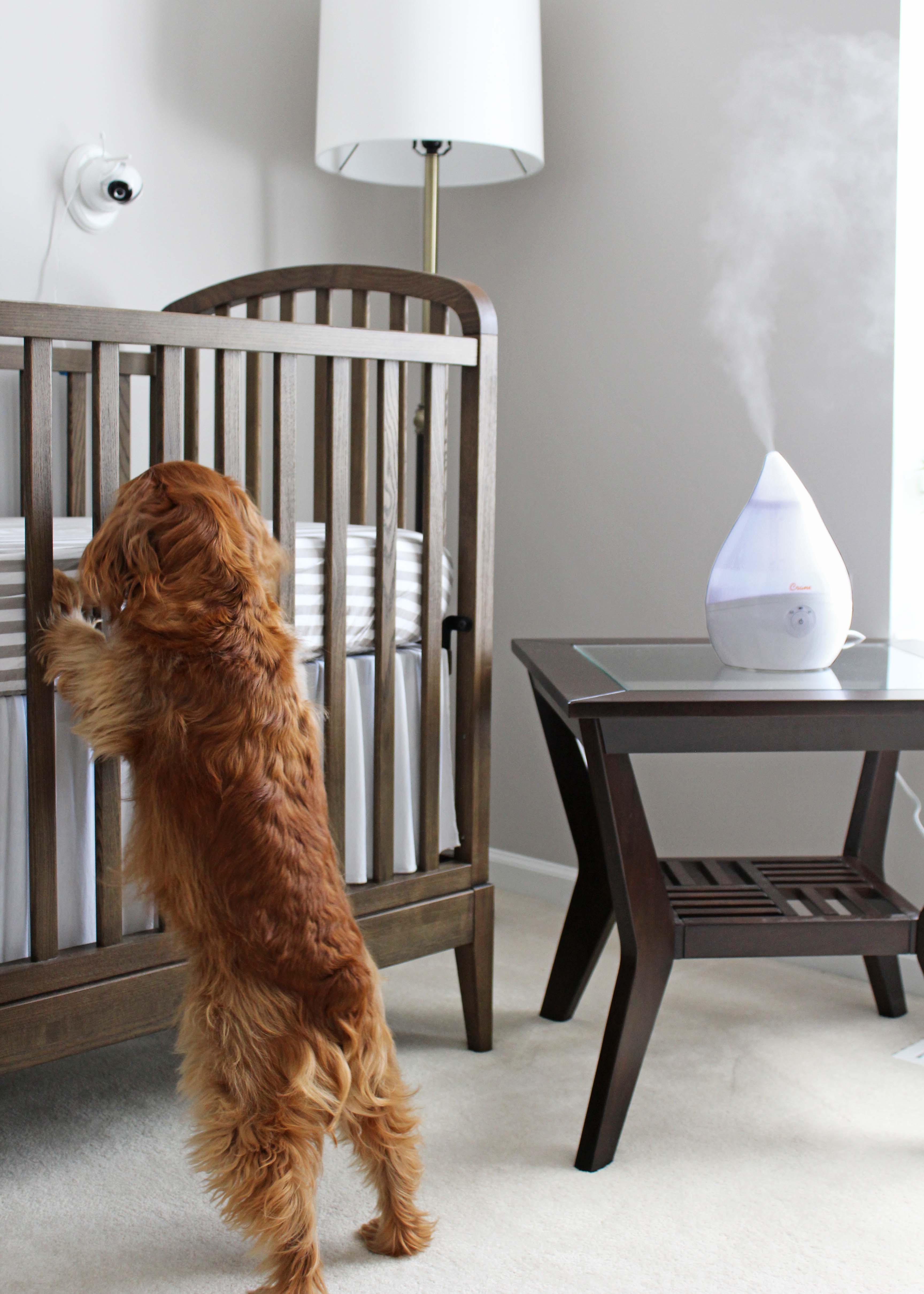 Alt View 12. CRANE - 0.5 Gal. Droplet Ultrasonic Cool Mist Humidifier - White.