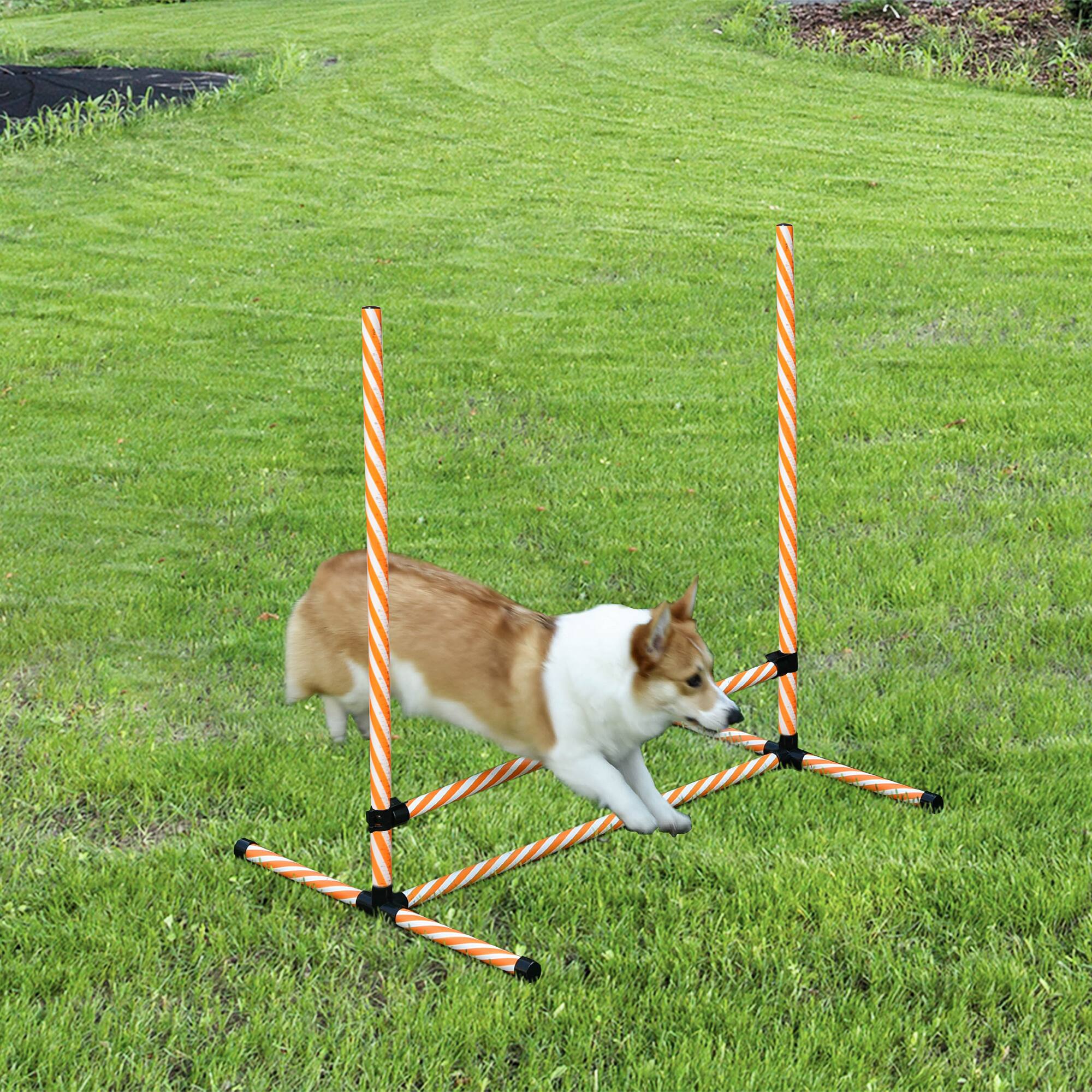 Angle. Pawhut - 6 Piece Dog Agility Training Equipment with Hurdle Bag and Whistle - Orange.