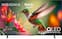 Insignia™ - 75" Class QF Series QLED 4K UHD Smart Fire TV