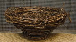 BreeBe - Bird Nest - 7" - Brown