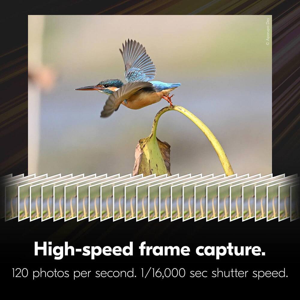 High-speed frame capture.  
120 photos per second.  
1/16,000 sec shutter speed.