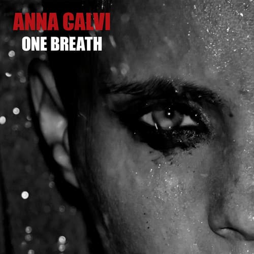 Anna Calvi - One Breath   - VINYL LP price history on PriceWatchPro