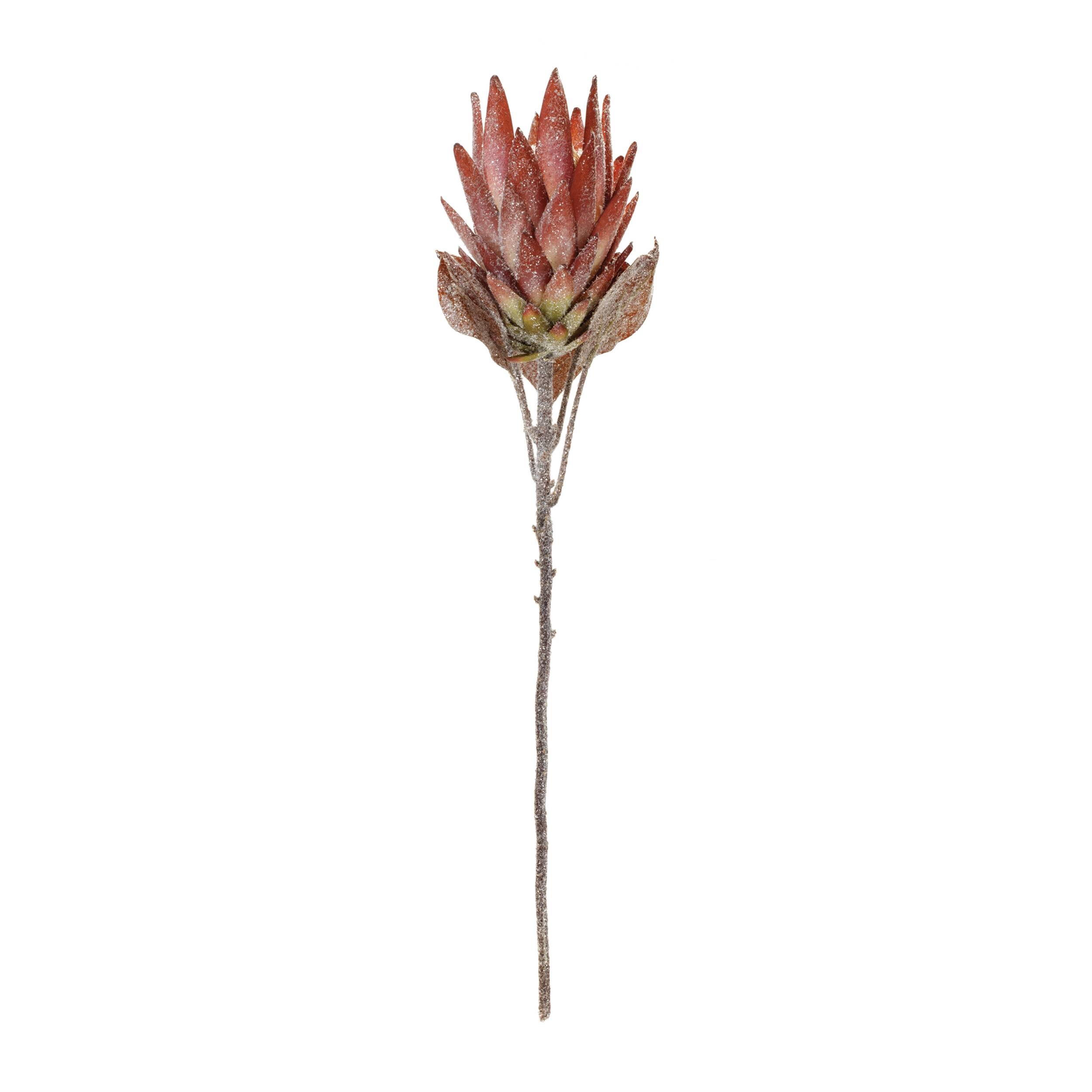 Angle. BreeBe - Orange Protea Flower Stem (Set of 2) - Orange, Green.
